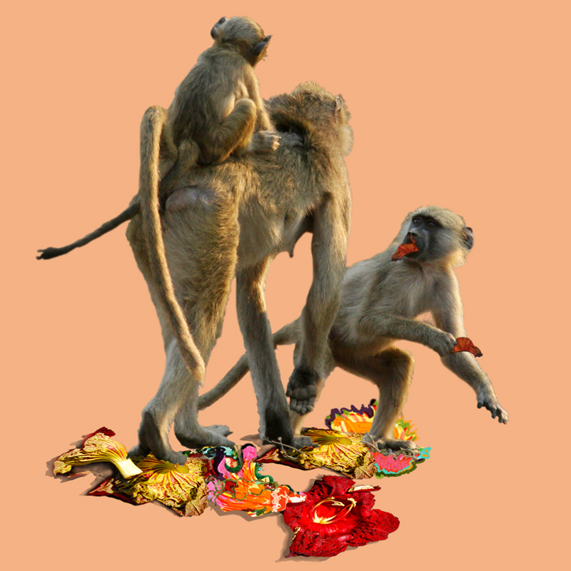 twikga-cheeky-monkeys Windmil