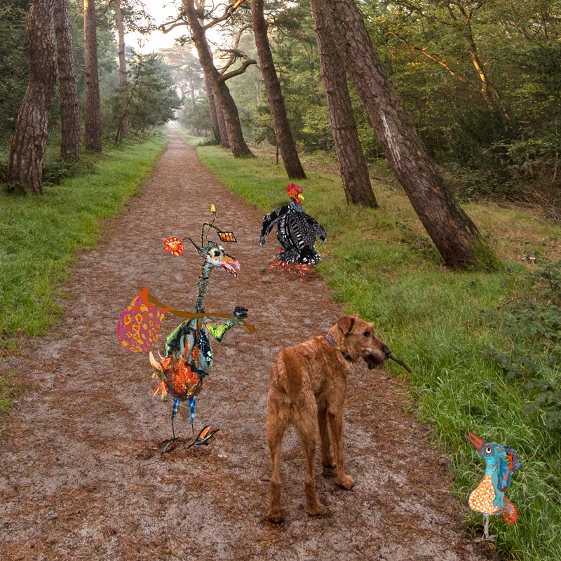 twikga-contact-duvel-3irds Windmil