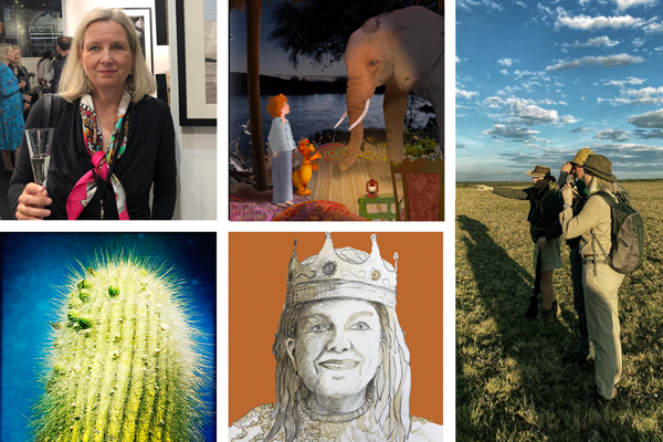 twikga-Stories-Home-Scroll-TS